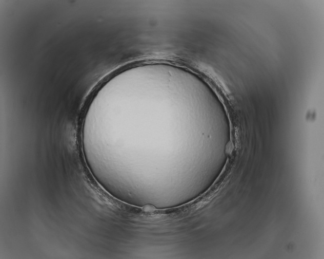 X0000093771260200711061126