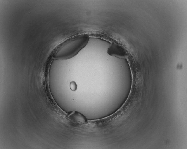 X0000093771261200711061126