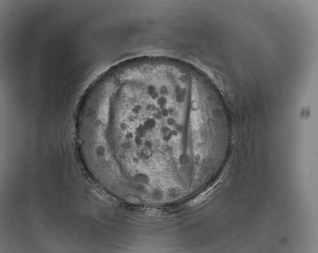 X0000093771263200711061126