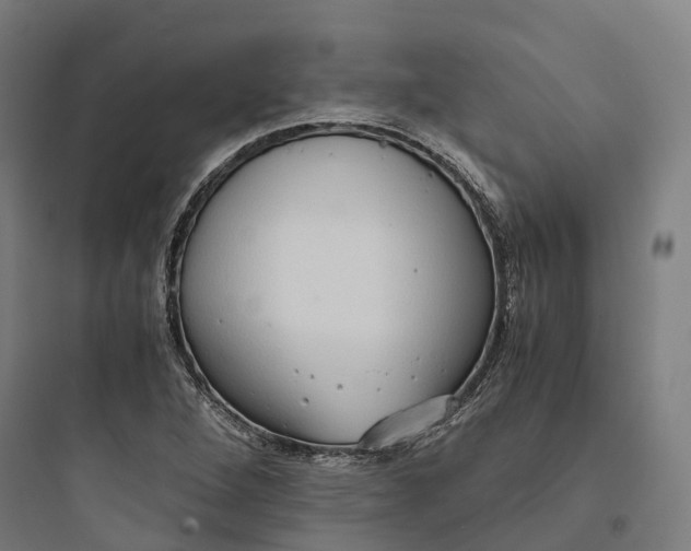 X0000093771264200711061126