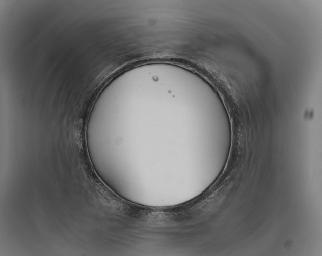 X0000093771265200711061126