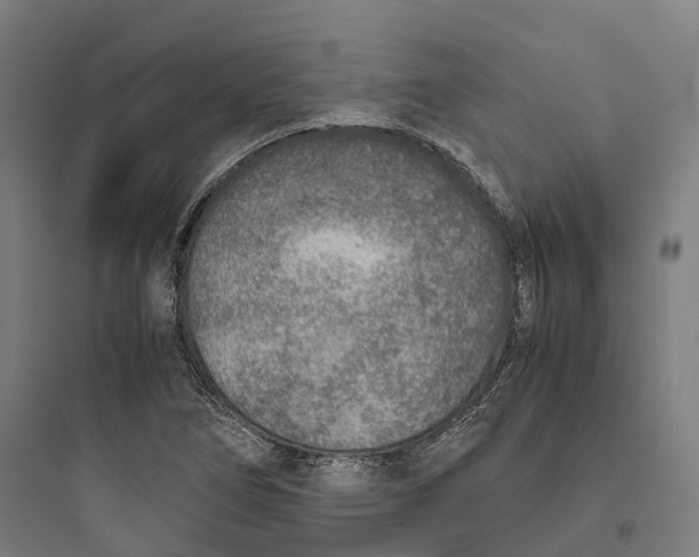 X0000093771266200711061126