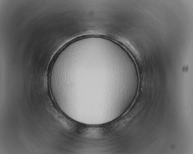 X0000093771268200711061126