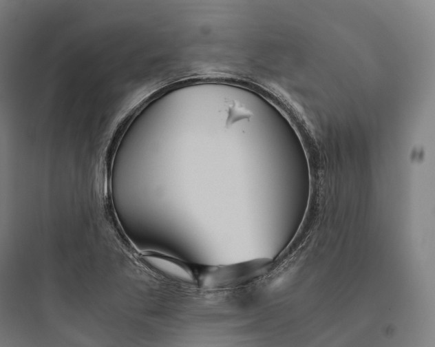 X0000093771269200711061126