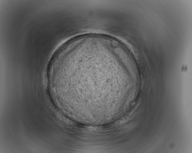 X0000093771271200711061126