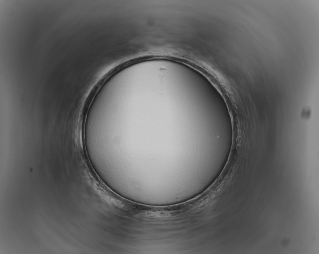 X0000093771272200711061126