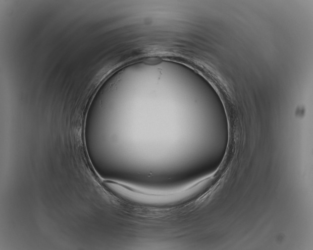 X0000093771273200711061126