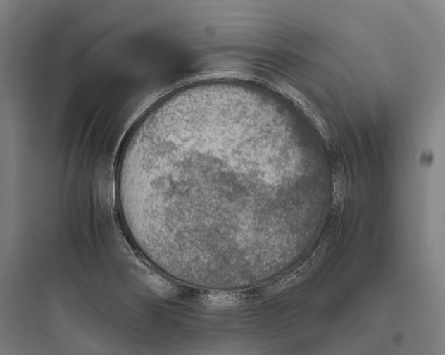 X0000093771274200711061126