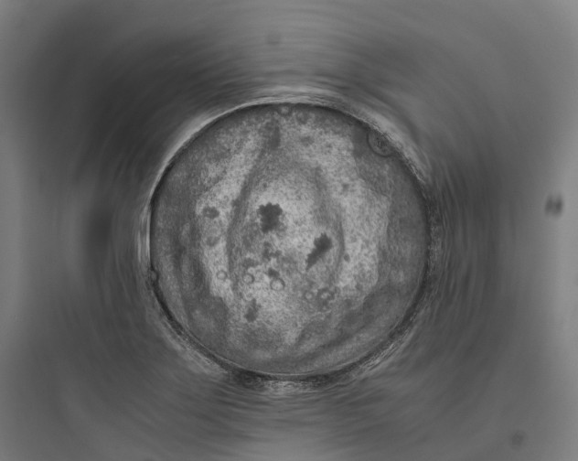 X0000093771275200711061126