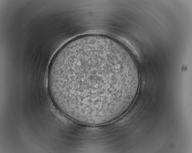 X0000093771276200711061126