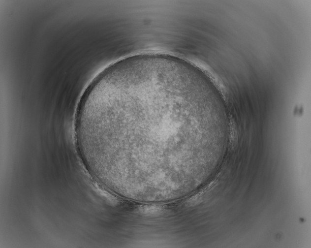 X0000093771278200711061126