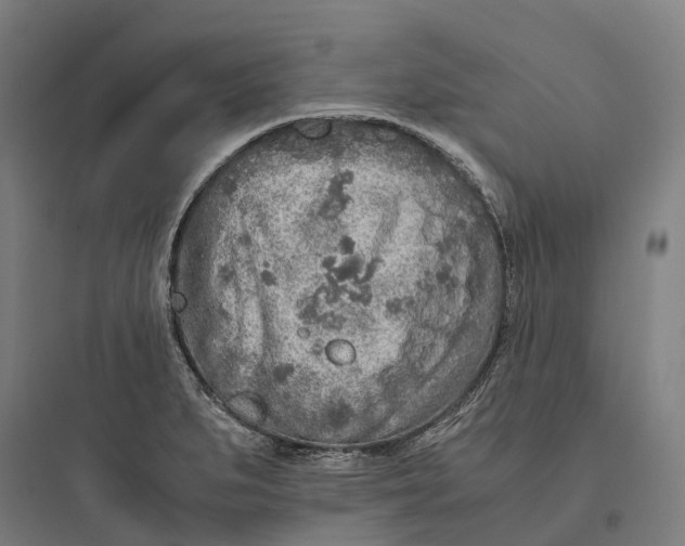 X0000093771279200711061126