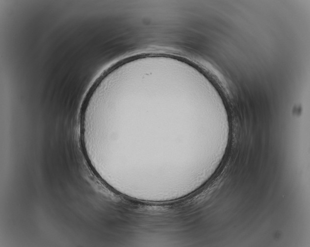 X0000093771280200711061126