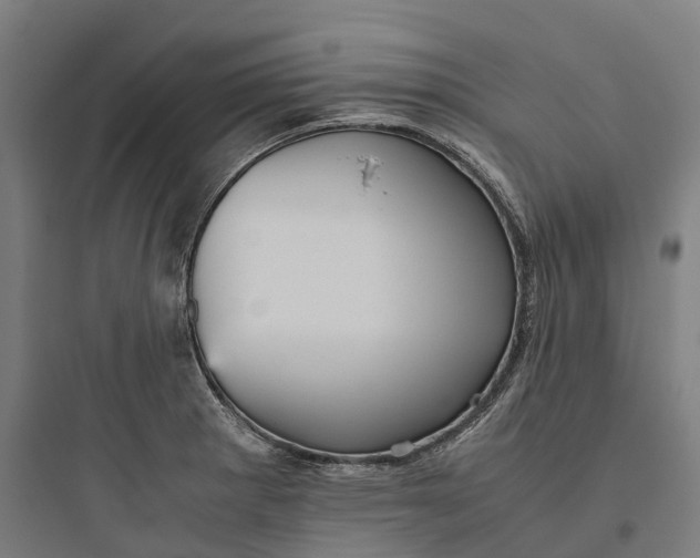 X0000093771281200711061126