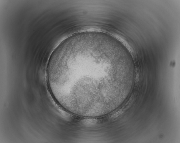 X0000093771282200711061126