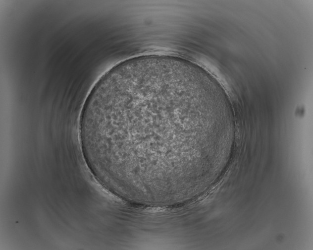 X0000093771283200711061126