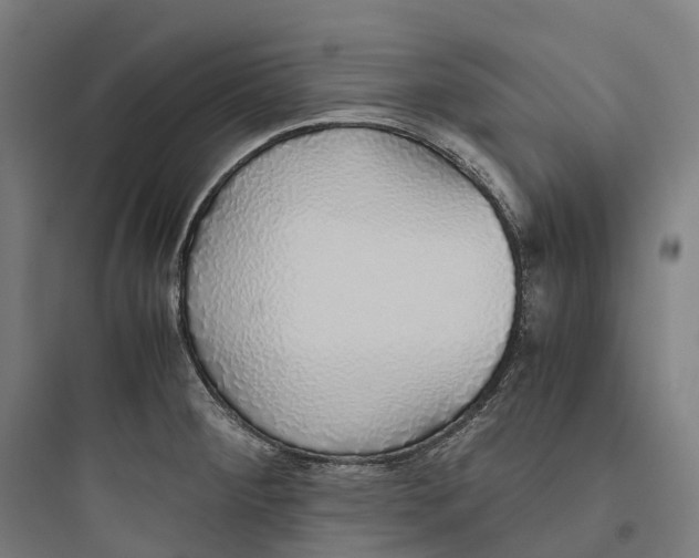 X0000093771284200711061126