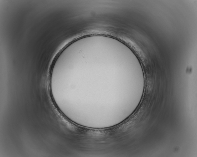 X0000093771286200711061126