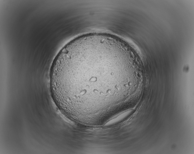 X0000093771287200711061126