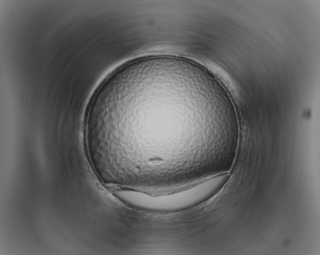 X0000093771288200711061126