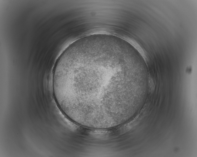 X0000093771290200711061125