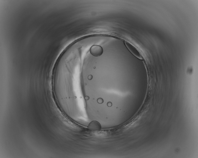 X0000093771291200711061125