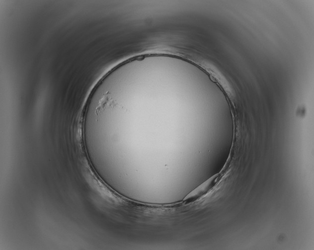 X0000093771292200711061125