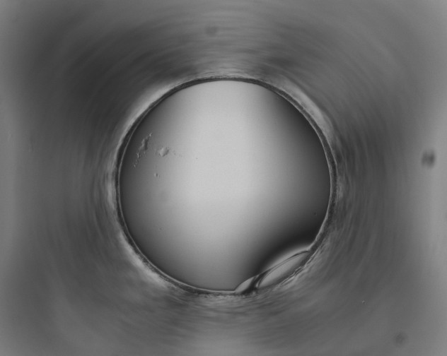 X0000093771293200711061125