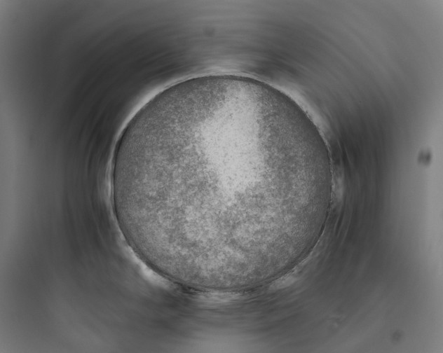 X0000093771294200711061125