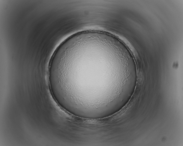 X0000093771295200711061125