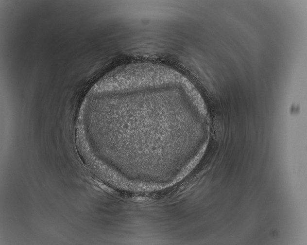 X0000093771297200711061125