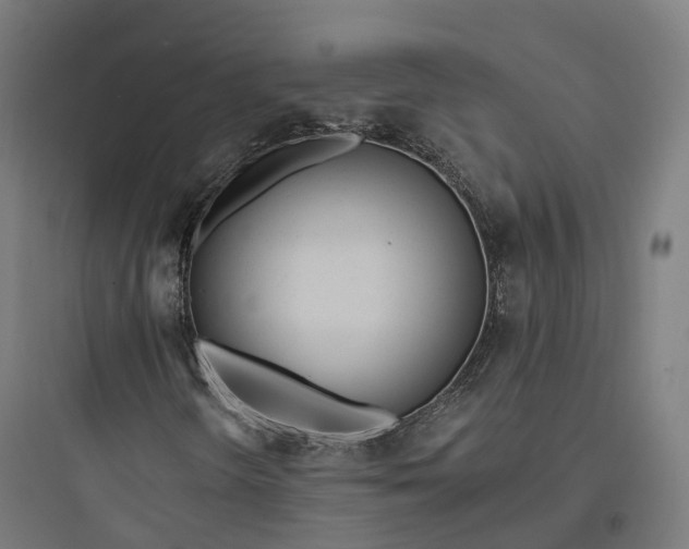 X0000093771298200711061125