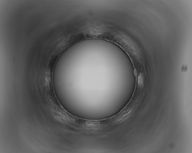 X0000093771299200711061125