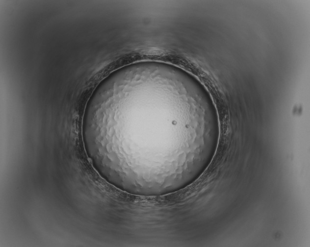 X0000093771301200711061125