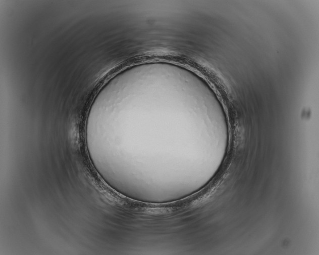 X0000093771305200711061125