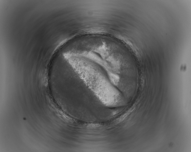 X0000093771306200711061125