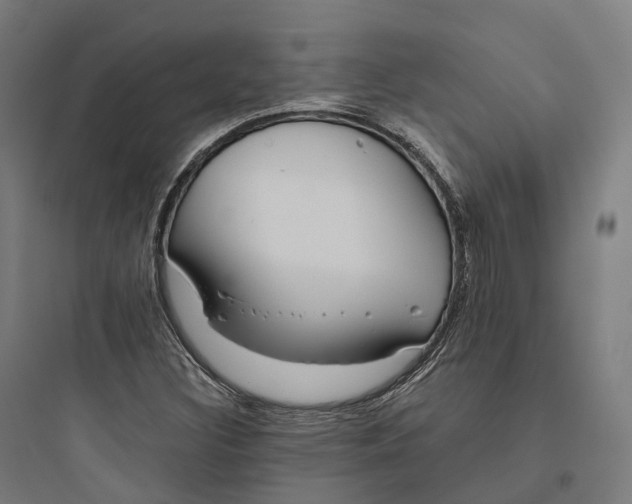 X0000093771308200711061125