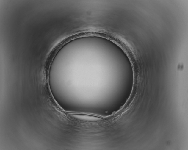 X0000093771310200711061125