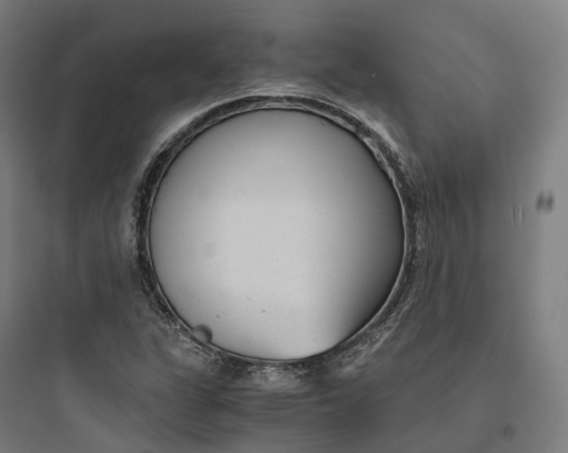 X0000093771311200711061125