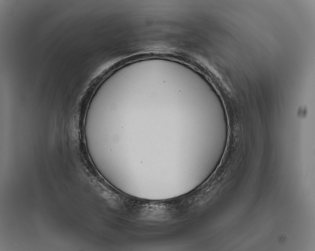 X0000093771315200711061125