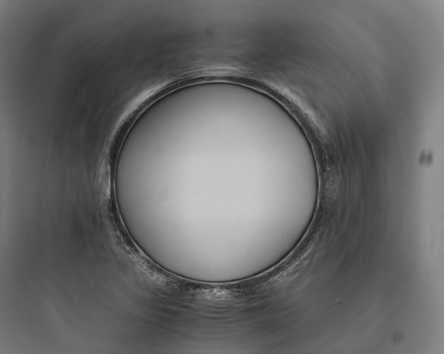 X0000093771317200711061125