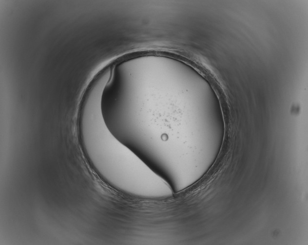 X0000093771320200711061125