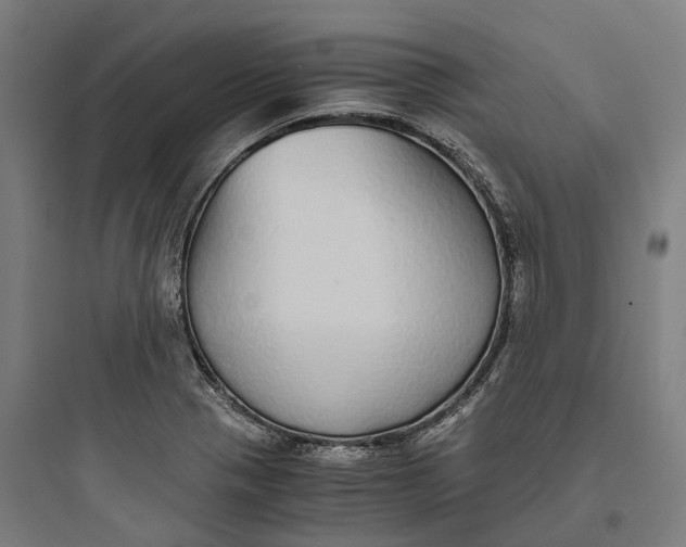 X0000093771321200711061125