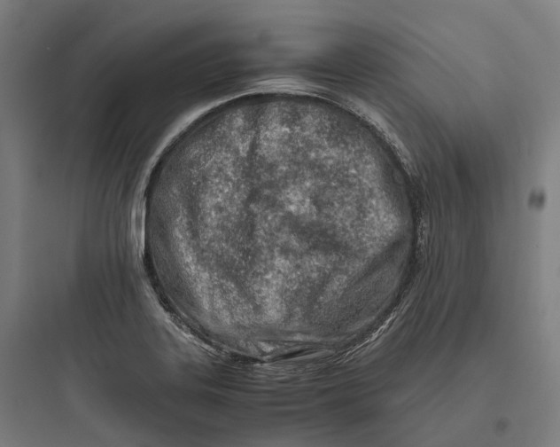 X0000093771323200711061125