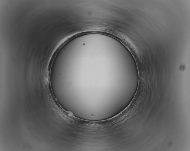 X0000093771324200711061125