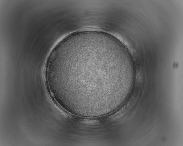 X0000093771325200711061125