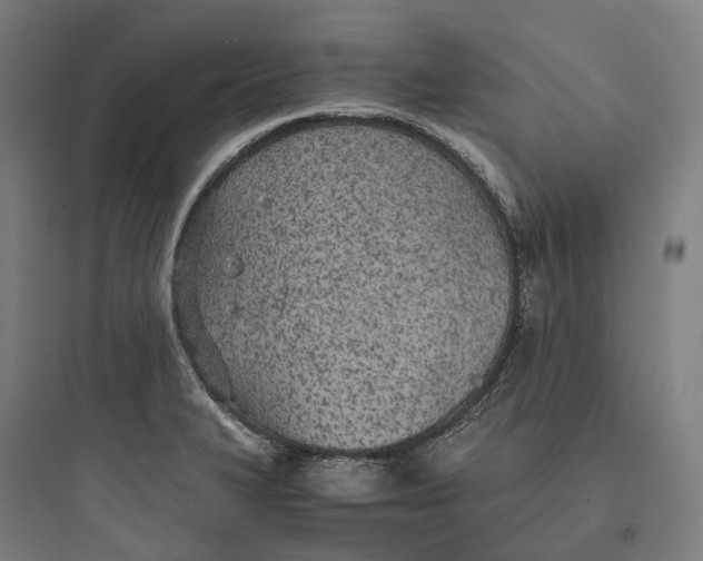 X0000093771327200711061125