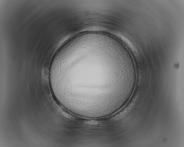 X0000093771329200711061125