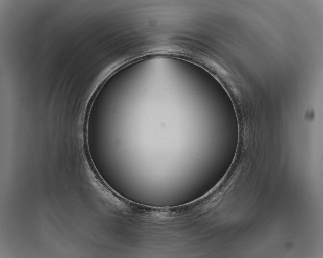 X0000093771330200711061125