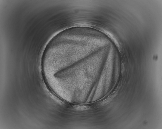 X0000093771331200711061125